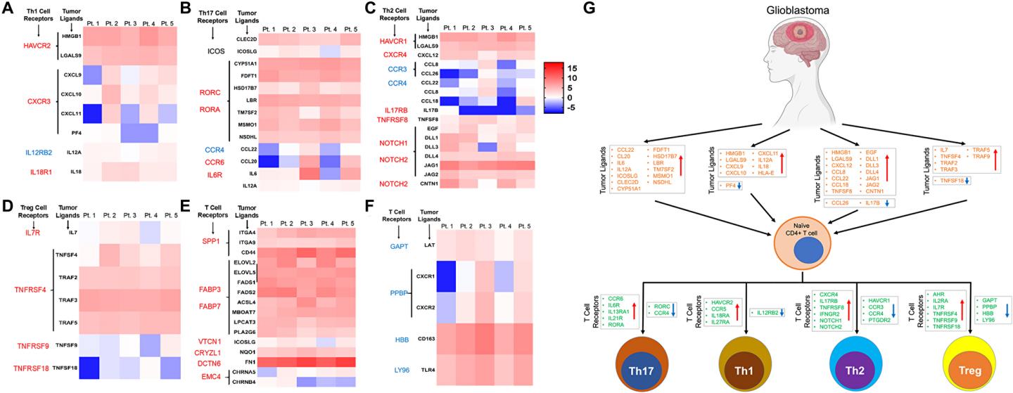 oncotarget杂志上发表的 genome wide dna methylation