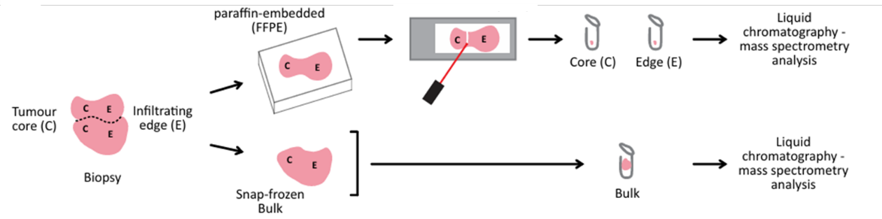 image005.png image005.png