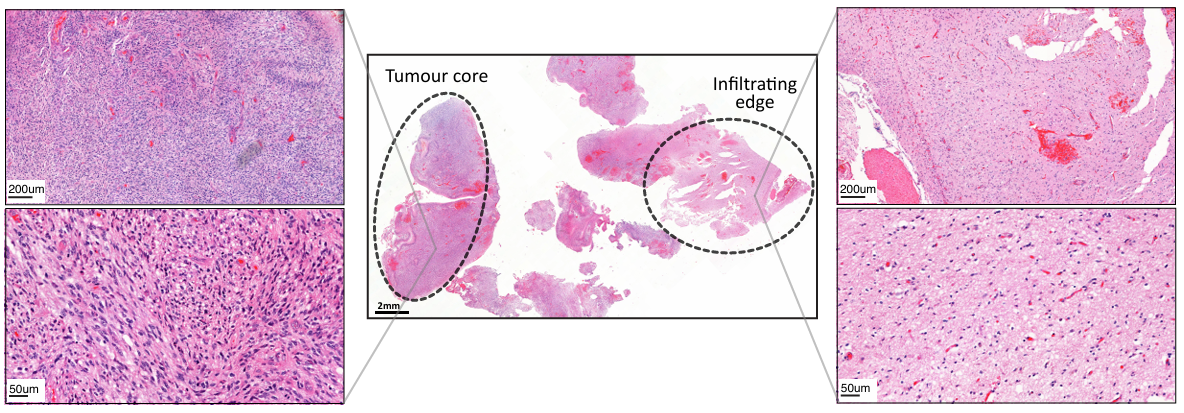 image001.png image001.png