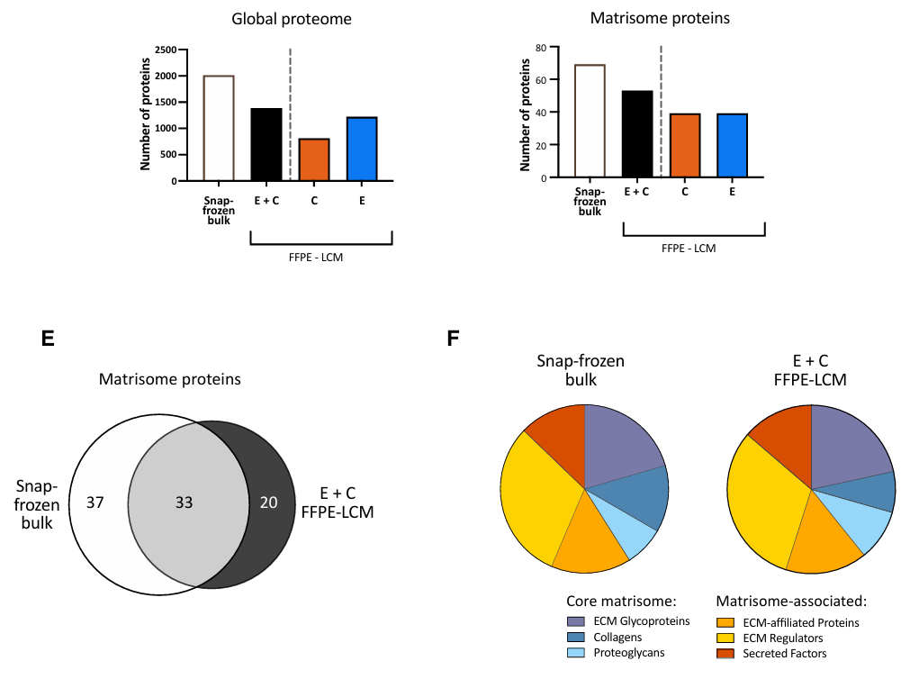 image008.png image008.png