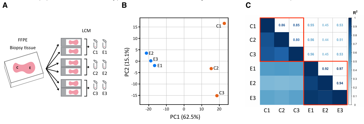 image010.png image010.png