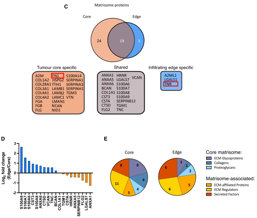 image014.png image014.png