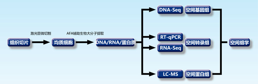 image022.png image022.png