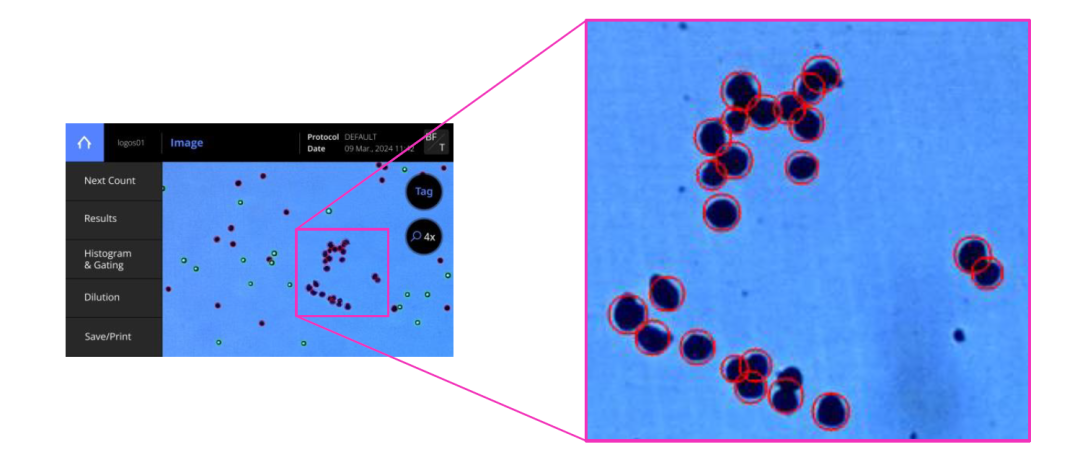 image005.png image005.png