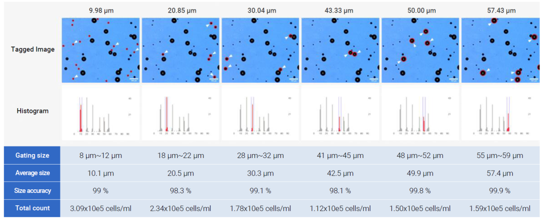 image007.png image007.png