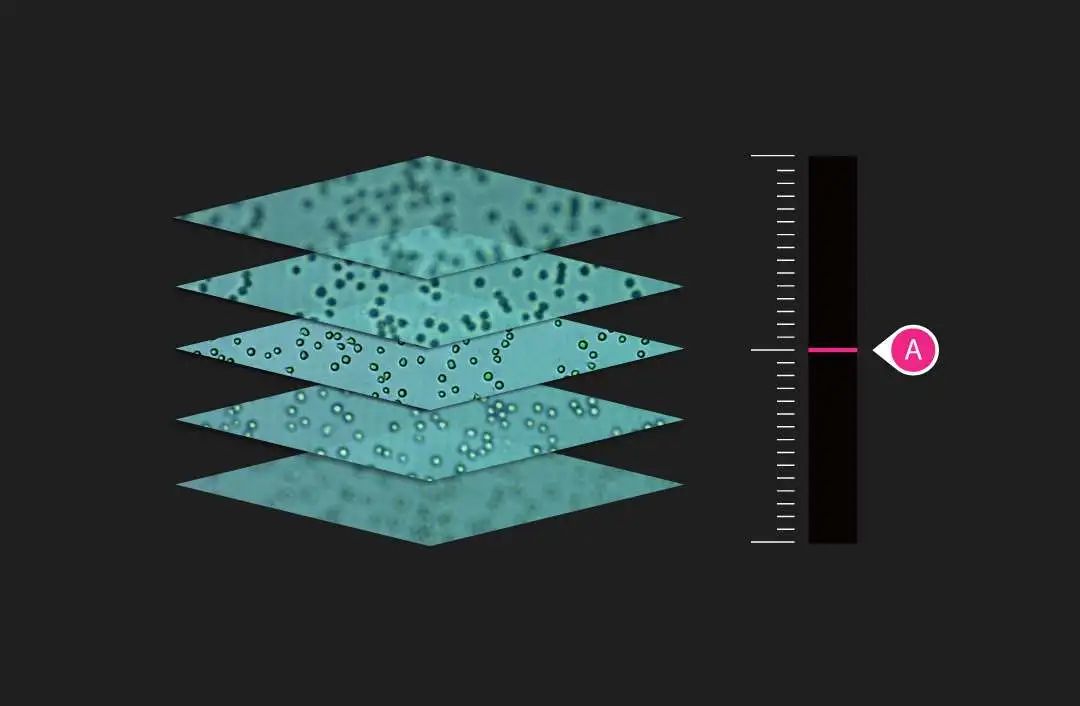 image011.jpg image011.jpg