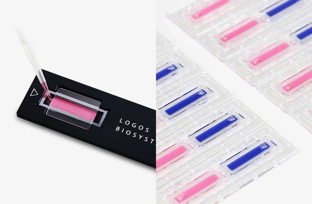 image017.jpg image017.jpg