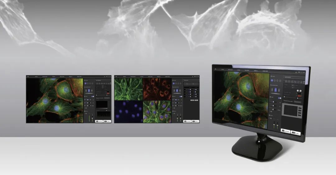 image020.jpg image020.jpg