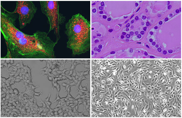 image024.png image024.png