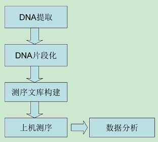 测序方法)的实验步骤主要包括以下几点:需要建库的测序技术生物通报道