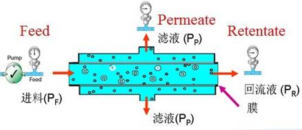 切向流过滤技术的原理和应用