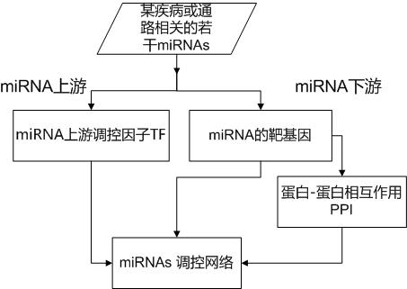 深蓝色线条是蛋白互作关系,红色线条是mirna与基因的靶向关系