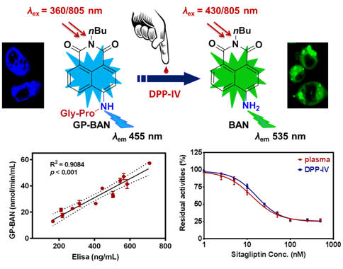 Biosensors and Bioelectronics：DPP-IV检测新方法