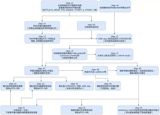 图1 m6a甲基化研究思路流程图