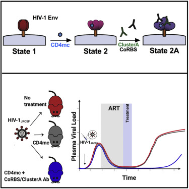 撕下HIV保护性外衣的小分子