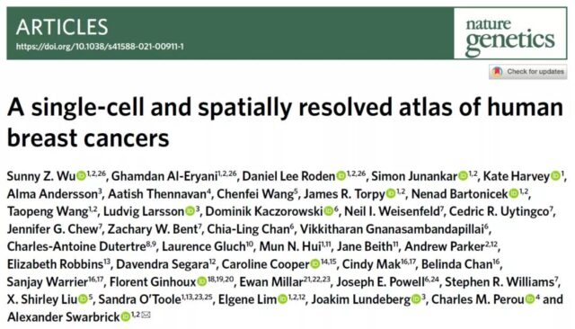 The most comprehensive single-cell spatial map of breast cancer so far