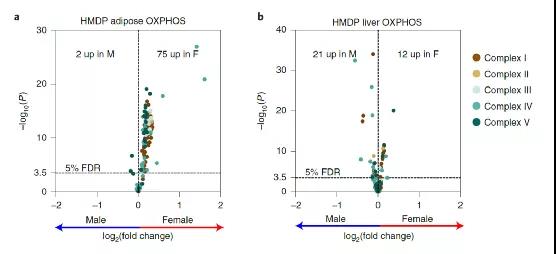 "Gender advantage" of women: More fat and with bigger advantage!