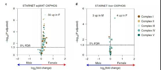 "Gender advantage" of women: More fat and with bigger advantage!