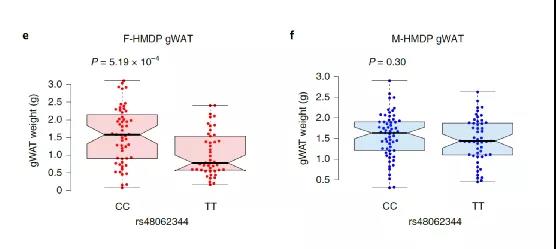 "Gender advantage" of women: More fat and with bigger advantage!