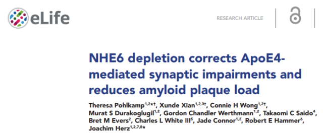 Alzheimer disease: Acidify the intracellular environment to remove amyloid