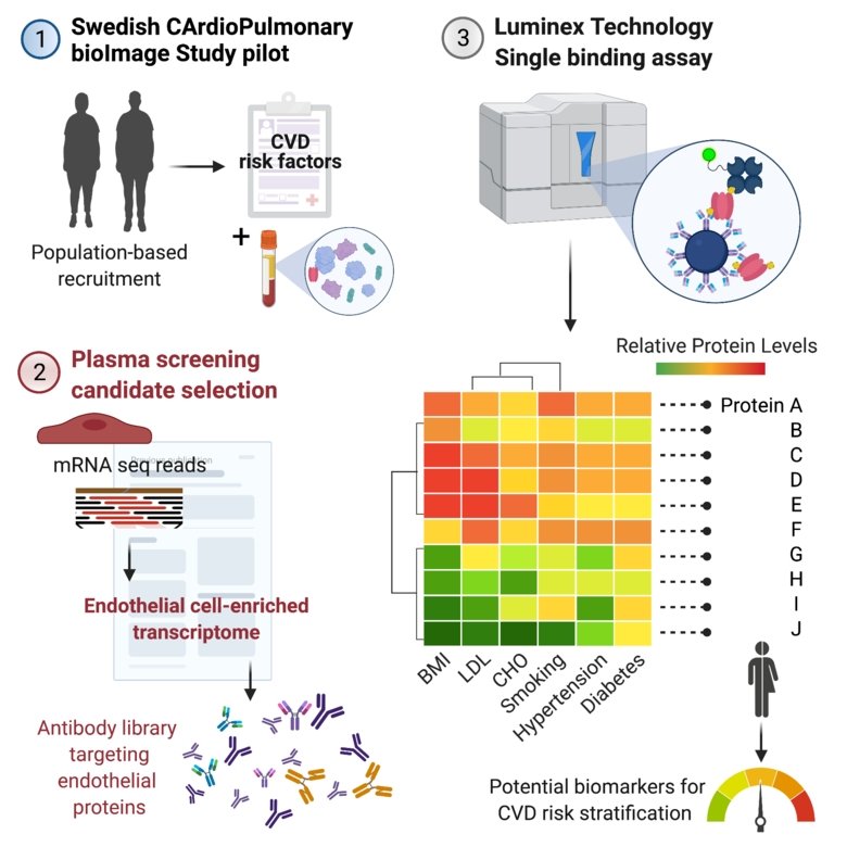 Graphical abstract, publ ATVB journal