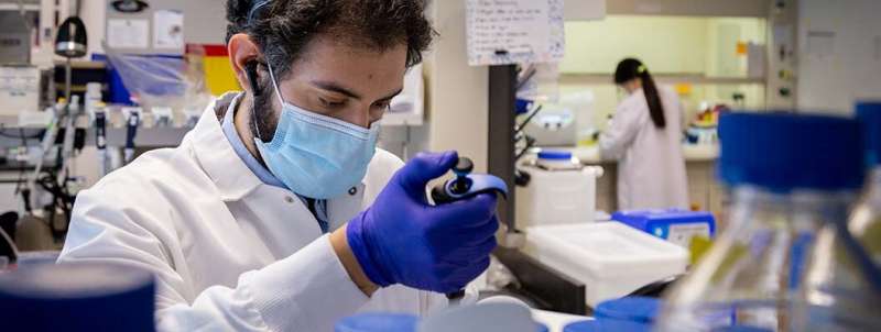 How zinc boosts the immune system