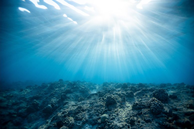 Ocean Underwater