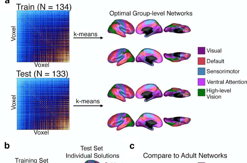 Newborns brains already organized into functional networks