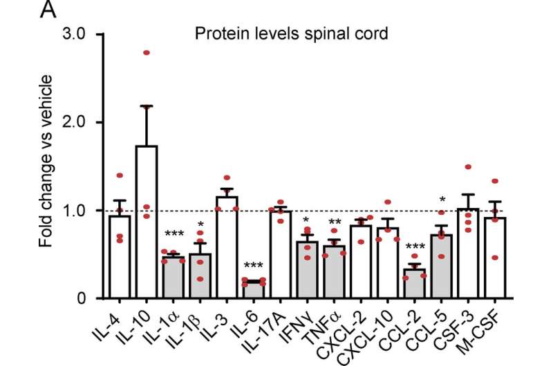 A new treatment reduces inflammation in multiple sclerosis mice models