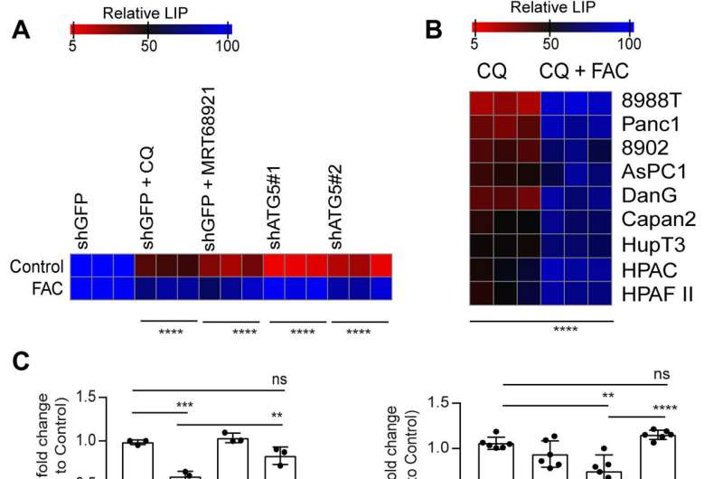 Inhibiting the biological crosstalk of autophagy and mitochondrial function underlying pancreatic ductal adenocarcinoma