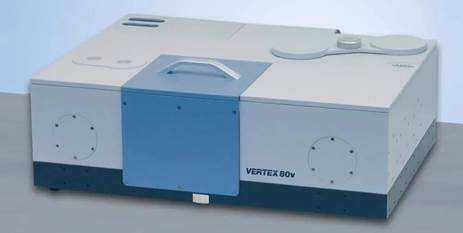 image010.jpg image010.jpg