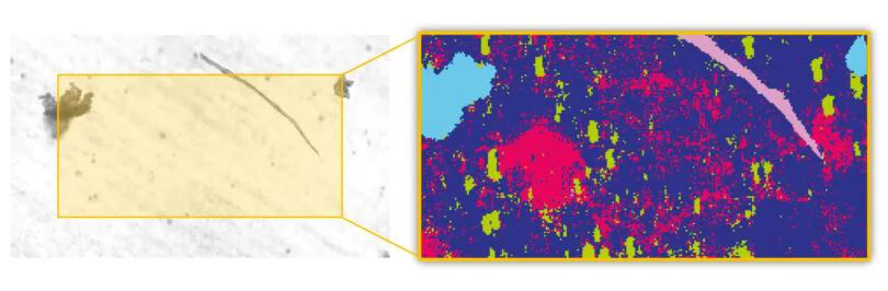 image025.png image025.png