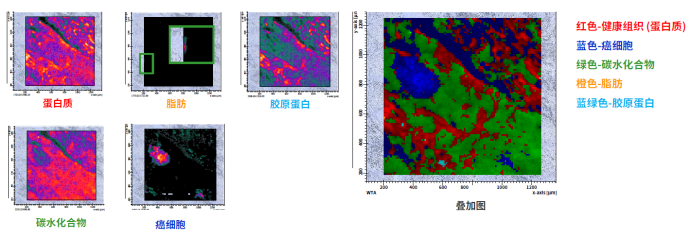 image027.png image027.png