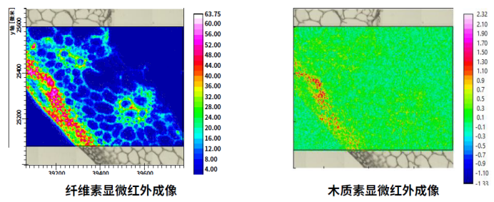 image029.png image029.png