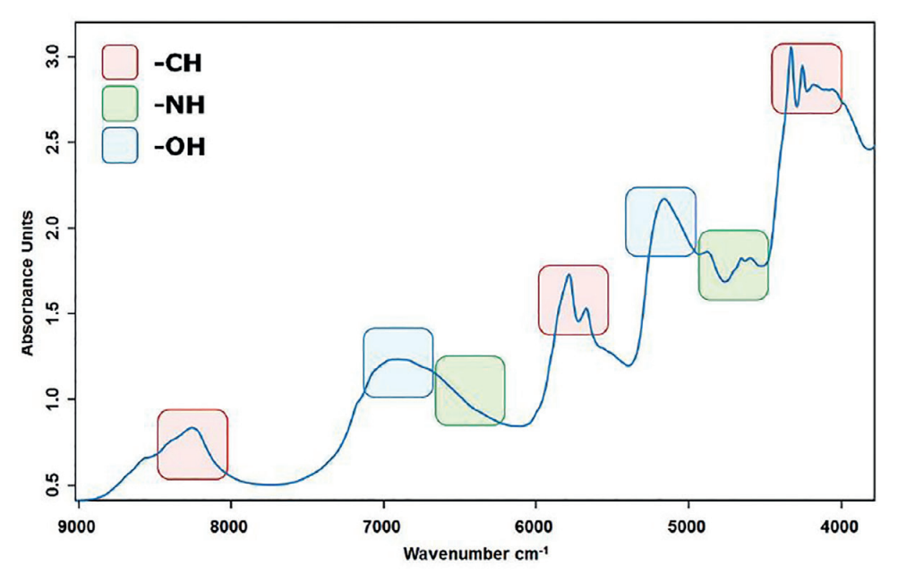 image031.png image031.png