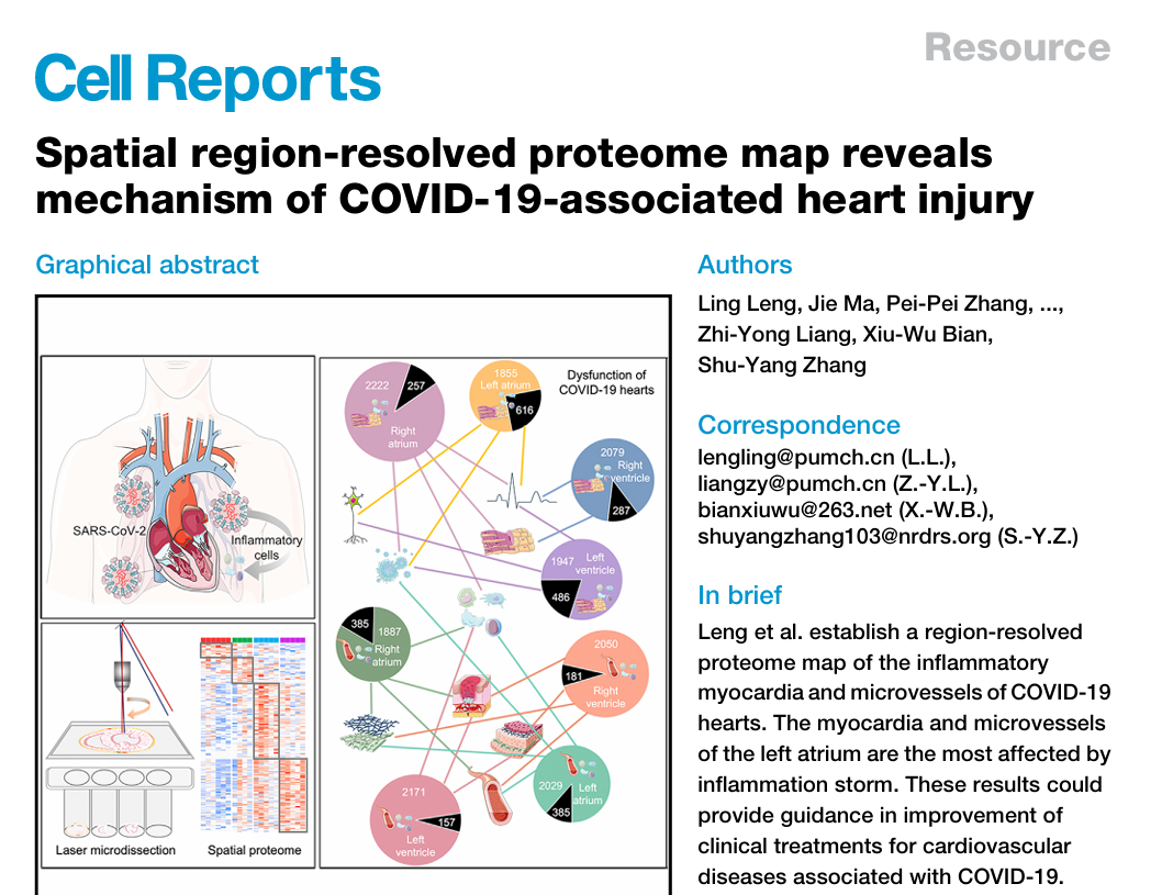 image001.png image001.png