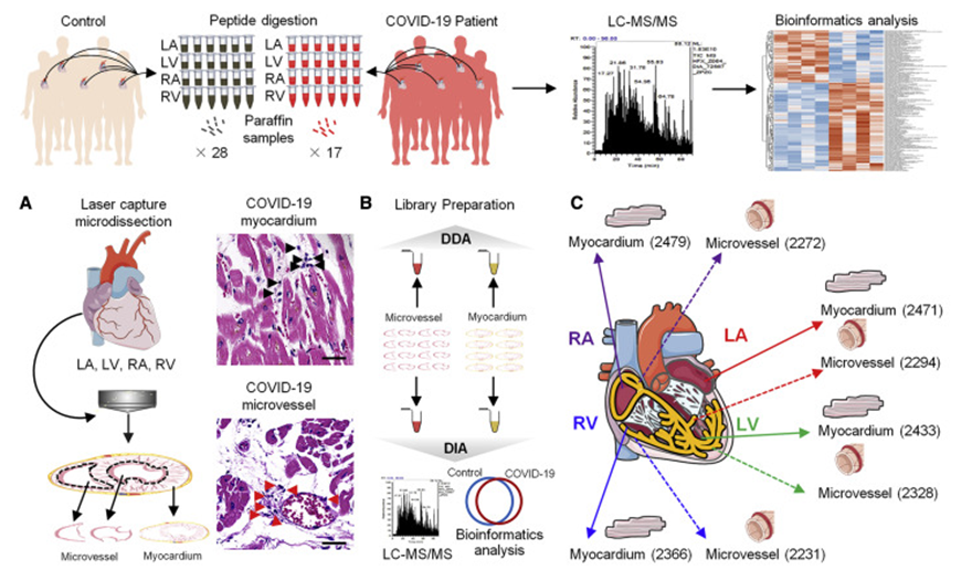 image003.png image003.png
