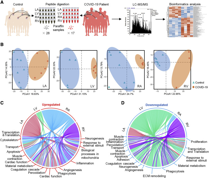 image005.jpg image005.jpg