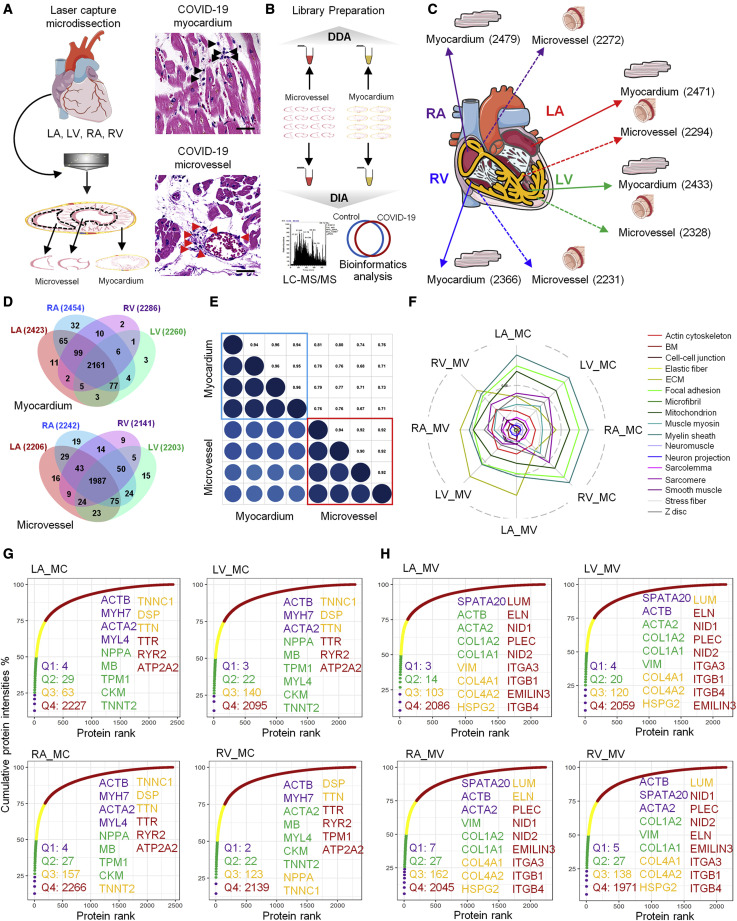 image007.jpg image007.jpg