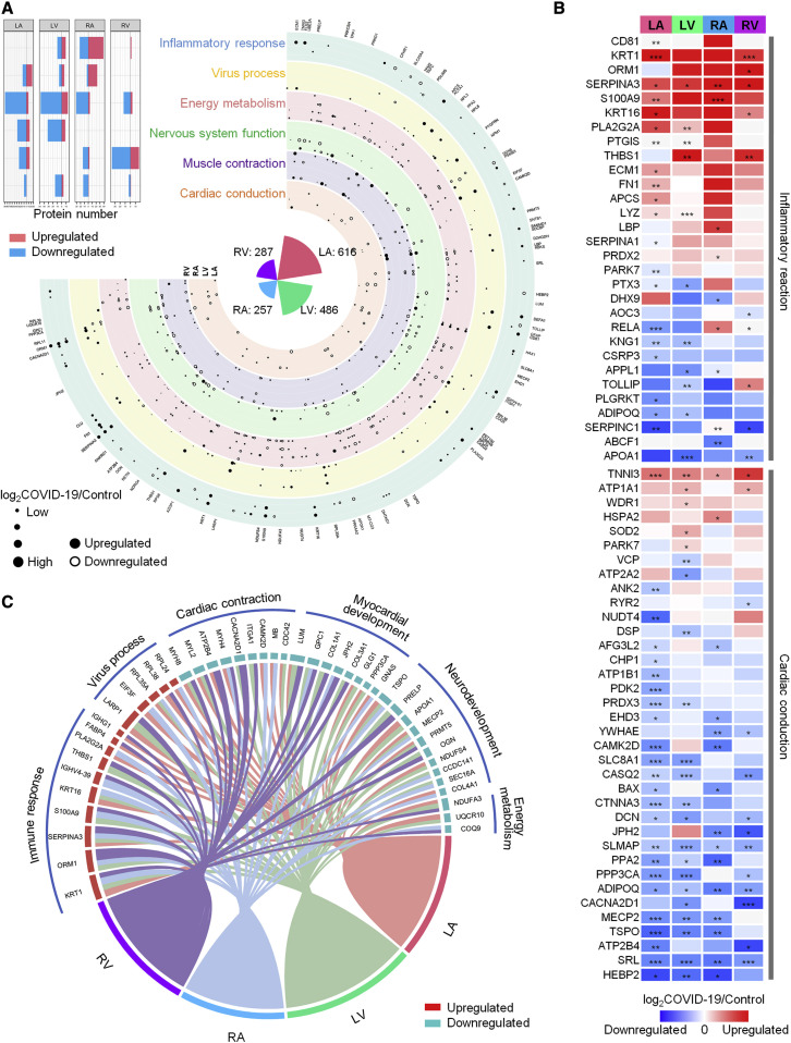 image009.jpg image009.jpg
