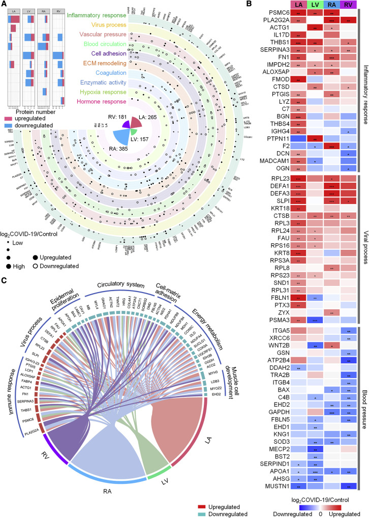 image011.jpg image011.jpg