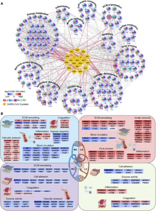 image013.jpg image013.jpg