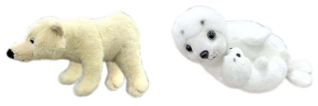 image005.png image005.png