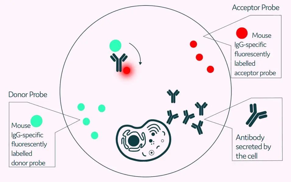 image001.jpg image001.jpg