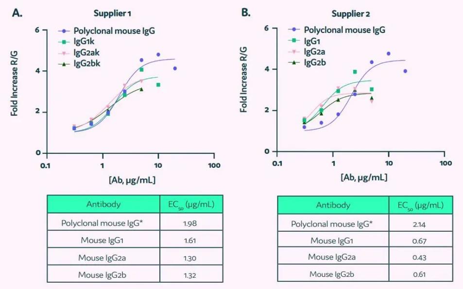 image004.jpg image004.jpg