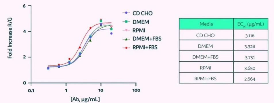 image008.jpg image008.jpg
