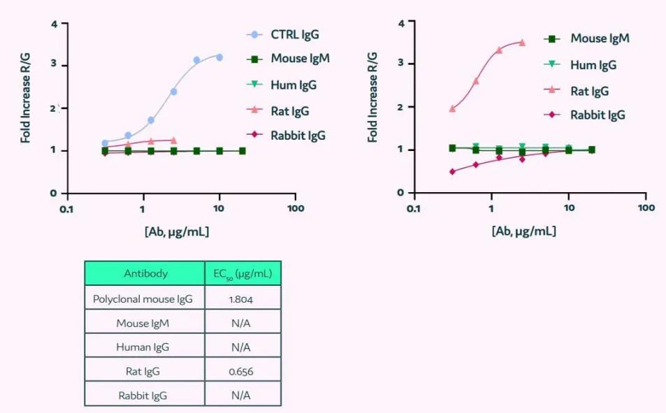 image010.jpg image010.jpg