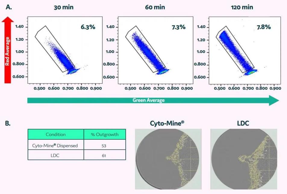 image012.jpg image012.jpg