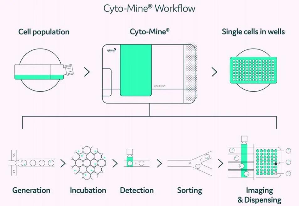 image014.jpg image014.jpg