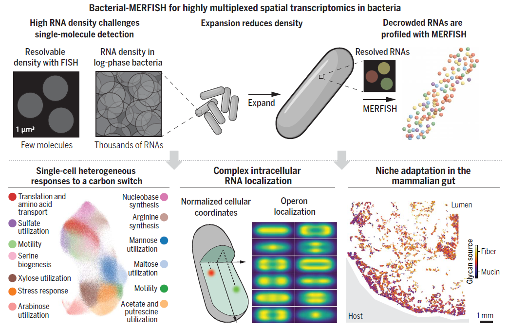 image001.png image001.png